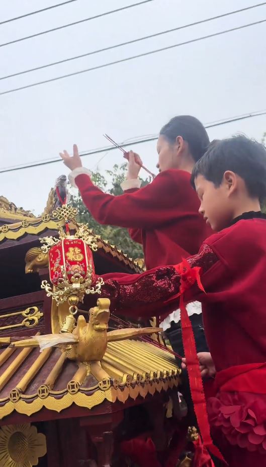 许某蓝被强请上轿与男童完成仪式。