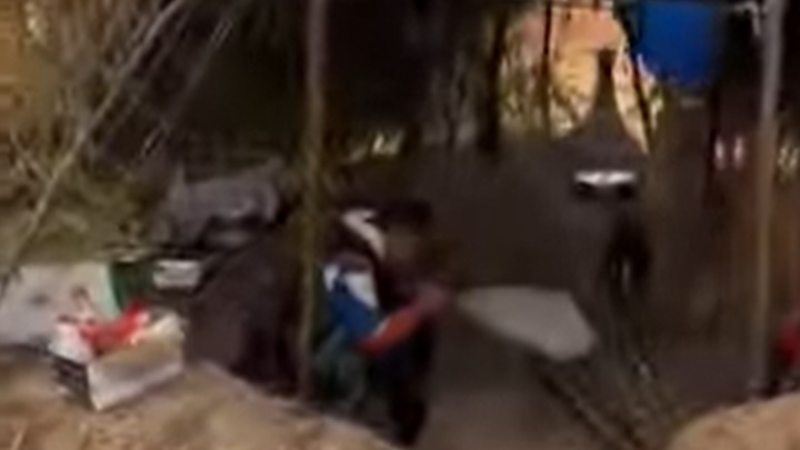 一行人在露營遇上封控滯，遂搭起帳篷繼續「荒野求生」。網上影片截圖