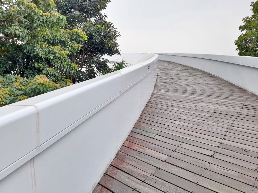 「滨海文化公园」的特色步道。