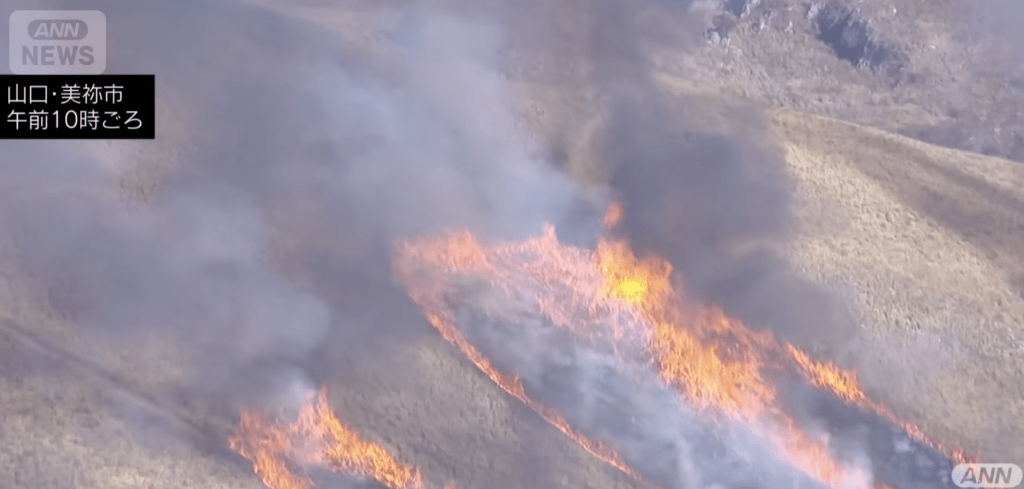 日本山口縣美禰市著名景點秋吉台日前舉行年度燒山活動期間發生致命意外。ANN NEWS 日本山口縣美禰市著名景點秋吉台日前舉行年度燒山活動期間發生致命意外。ANN NEWS
