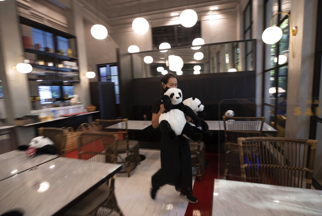 泰國曼谷有餐廳利用熊貓公仔陪伴客人用餐。AP圖片
