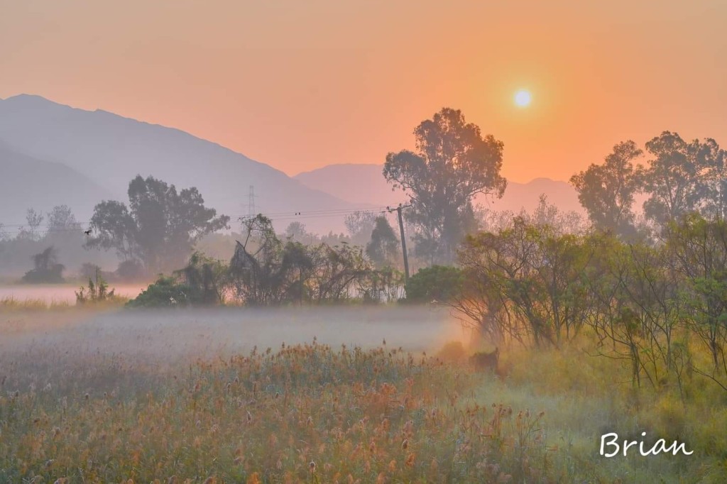 天文台称，每当日出后温度上升，「日出地雾」就会逐渐消散。图片授权Brian Chiu
