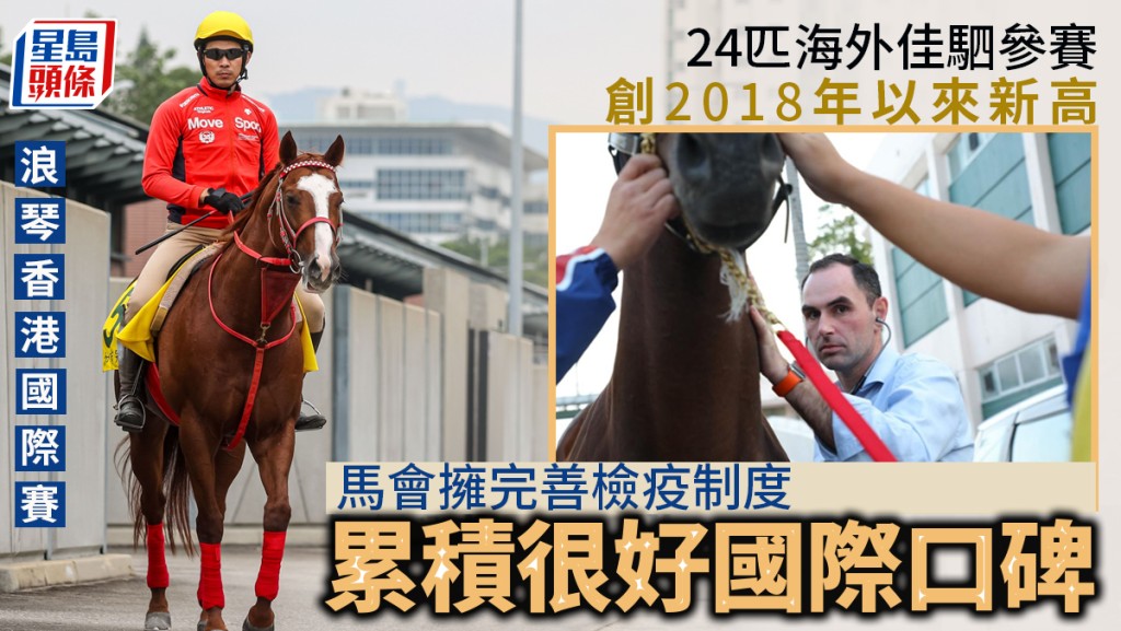 24匹海外佳駟參加浪琴國際賽 馬會檢疫口碑是關鍵