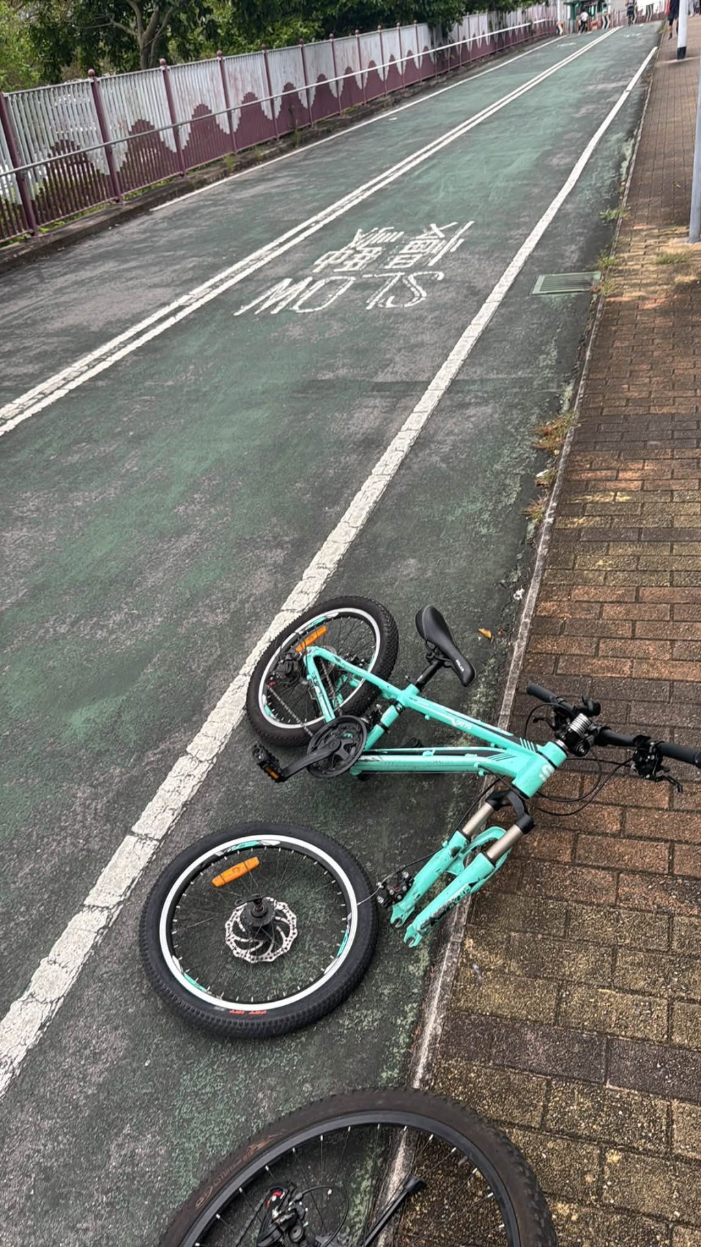 涉事單車在斜路炒車,前輪飛脫。 涉事單車在斜路炒車,前輪飛脫。