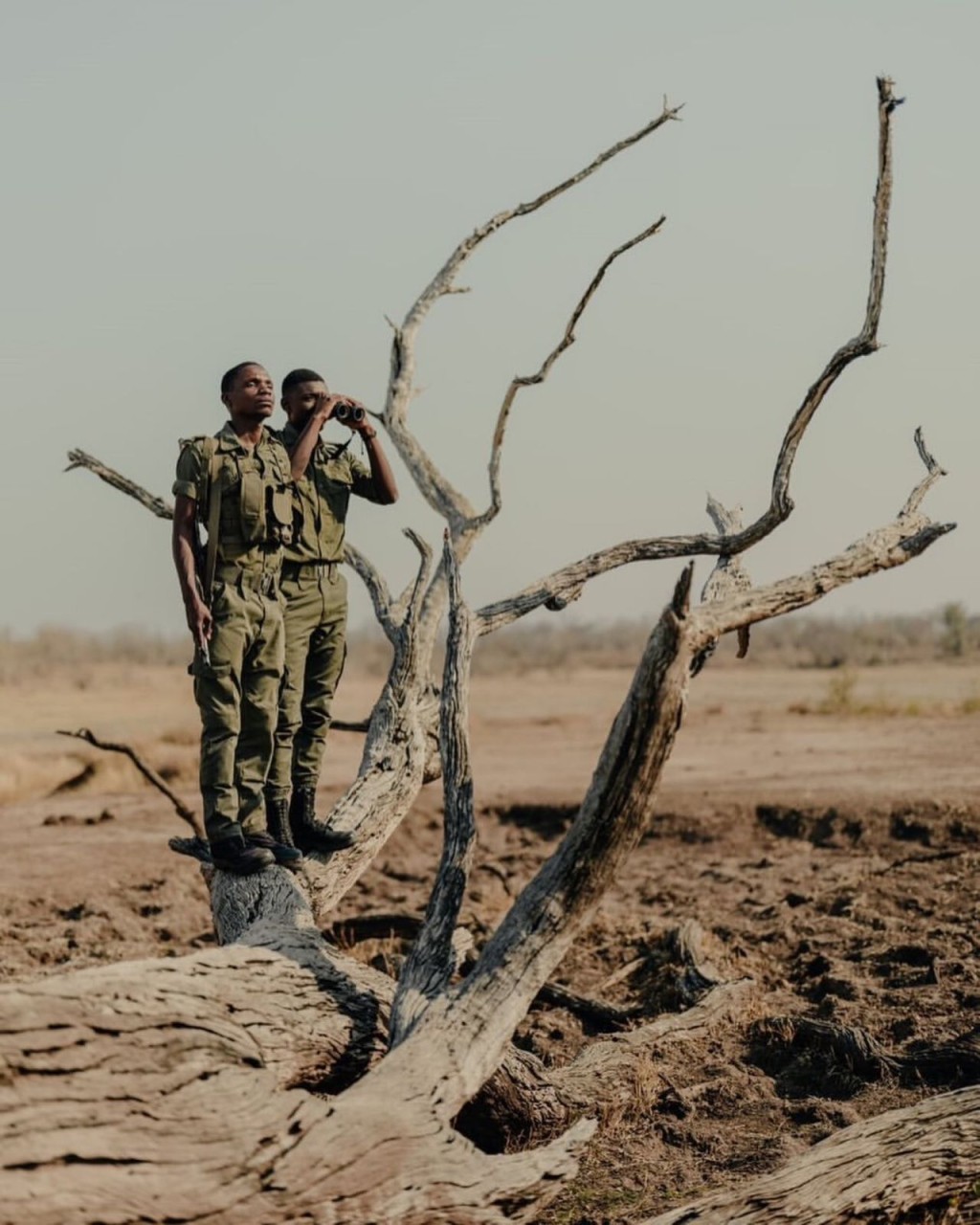 馬圖薩多納野生動物保護區。 NGO African Parks