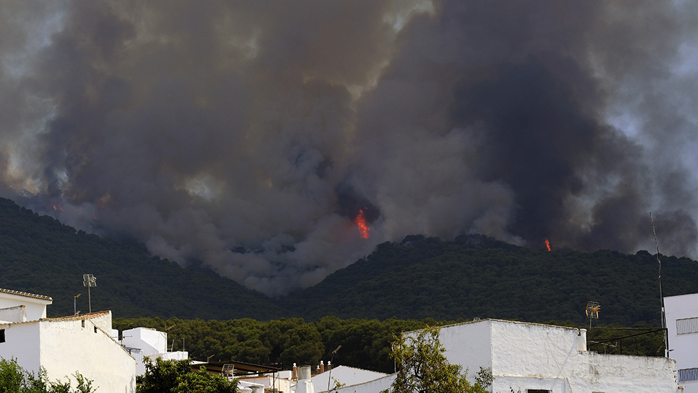 山火在西班牙马拉加的阿尔豪林德拉托雷的一个住宅区附近蔓延。AP图