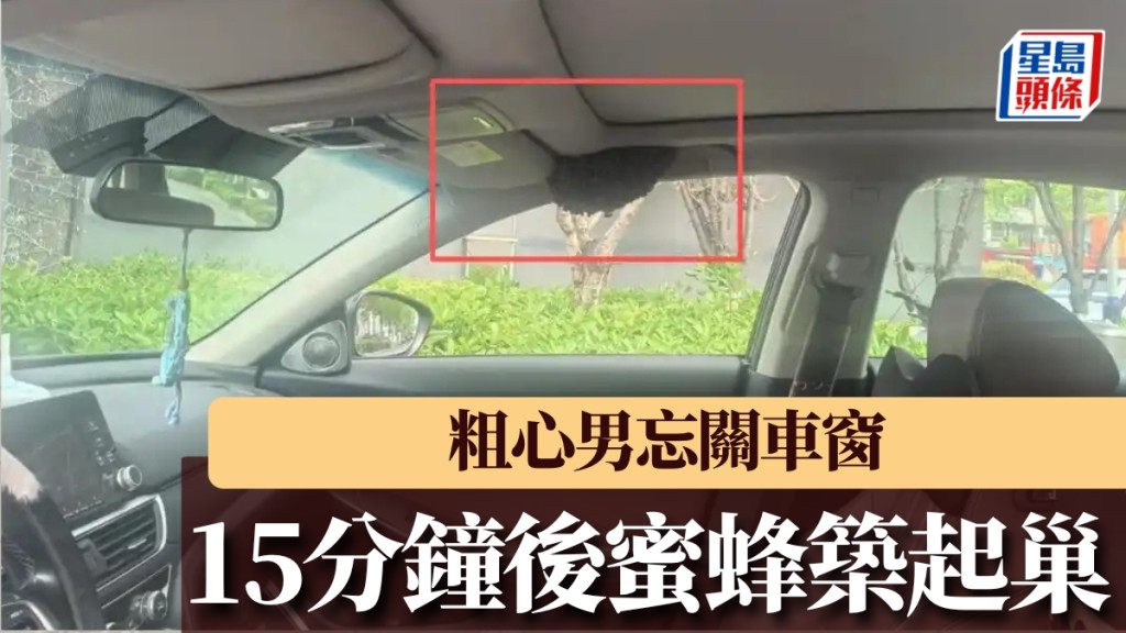 粗心男忘關車窗，僅15分鐘副駕駛座竟現蜂巢。