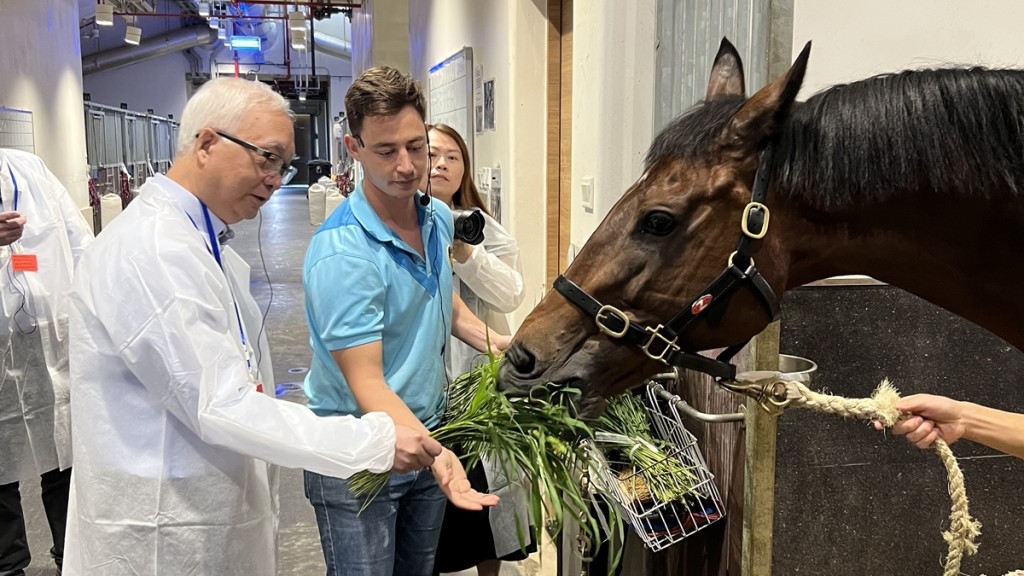 謝展寰（左一）在馬房餵飼馬匹。政府新聞處圖片