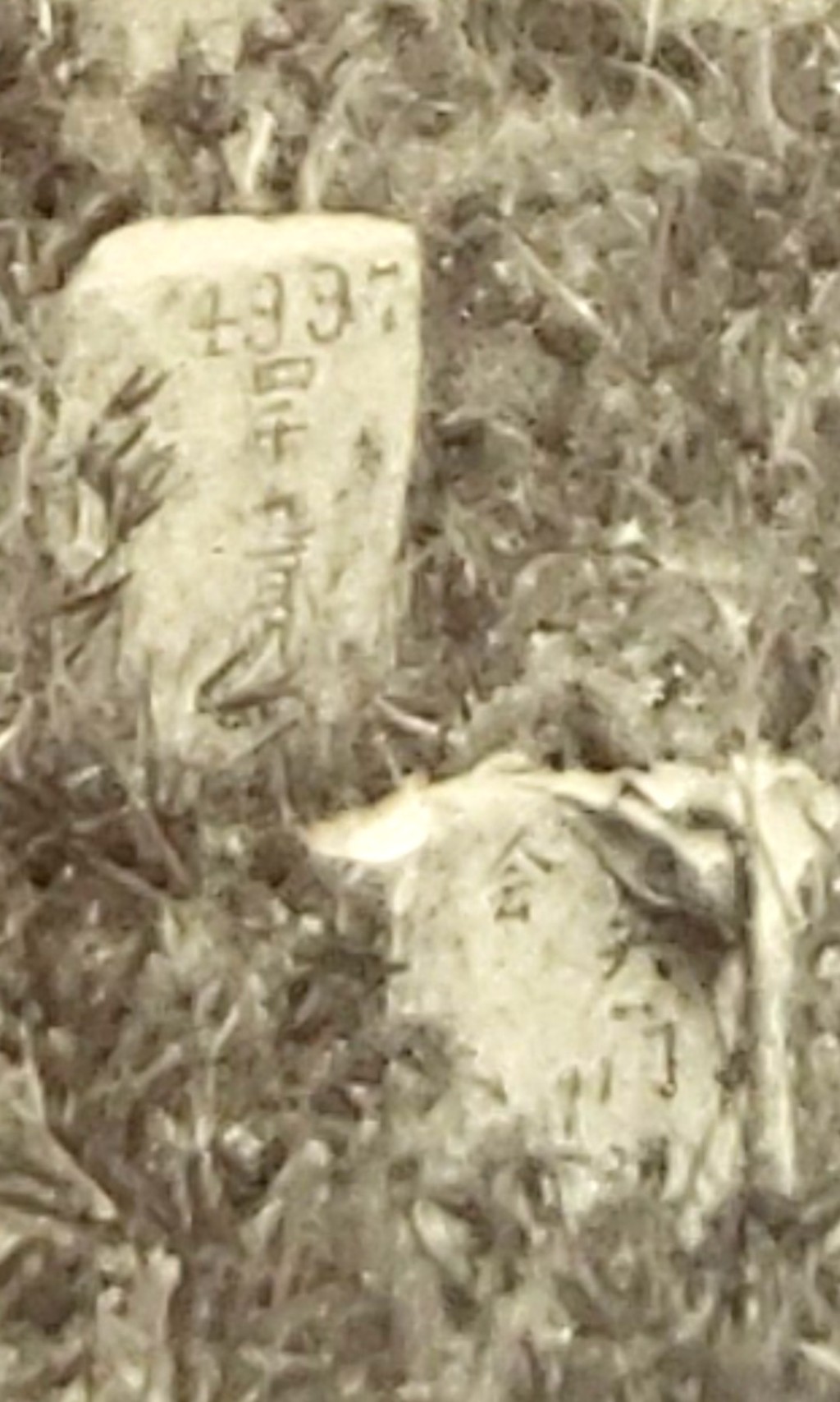 早期華人墳場根據排列行數設有獨立編號，部分會寫上名字及籍貫。(香港墳場歷史討論區fb)