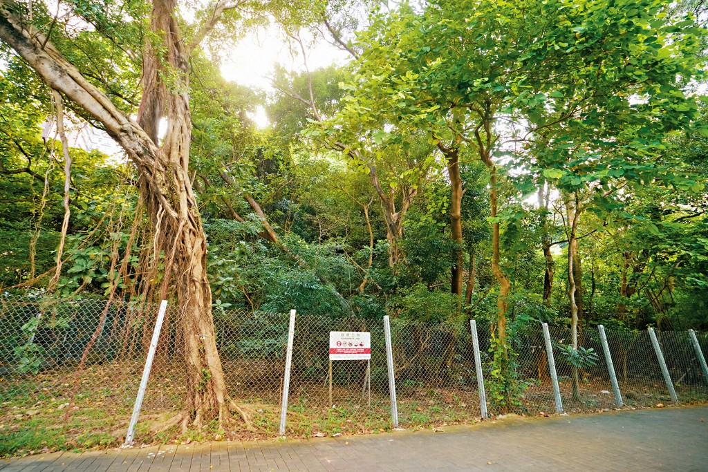 今季僅推1幅大圍住宅地招標,提供涉360伙。