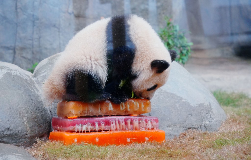 加加得得同吃生日蛋糕。