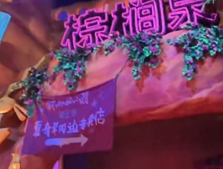 「瘋狂動物城：熱力追蹤」為上海迪士尼新項目。