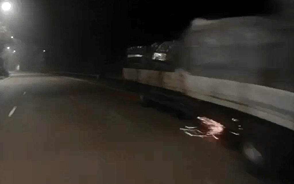 货车与前面货车相撞。fb：马路的事 (即时交通资讯台)