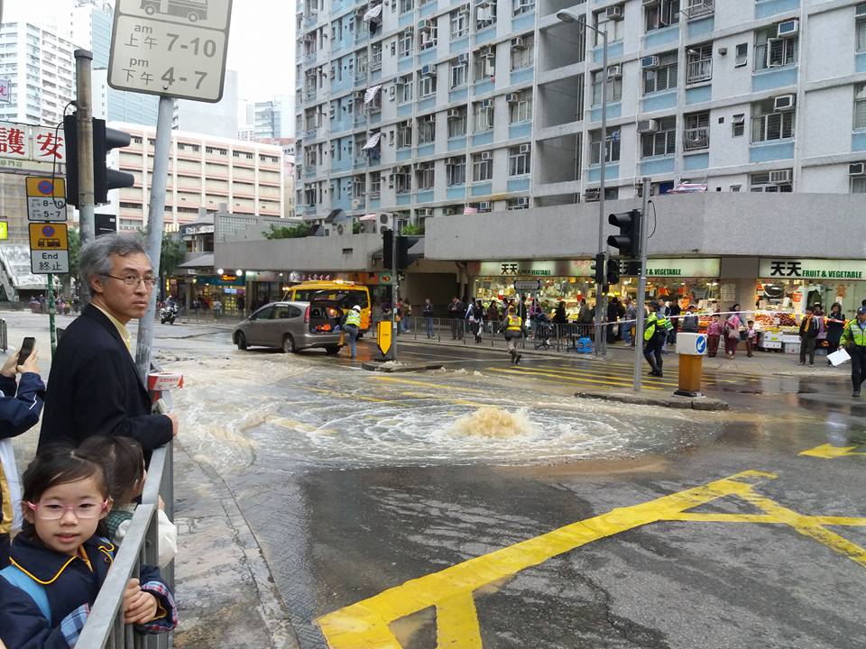 網民Janet Wong 圖片