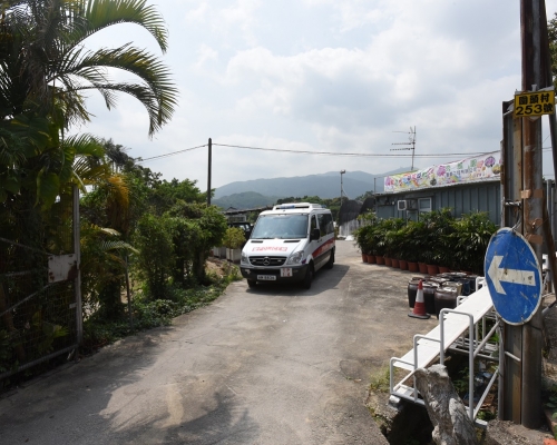 大埔圍頭村再發生懷疑毒狗案。