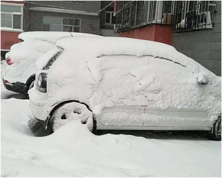 私家車都被厚雪遮蓋。