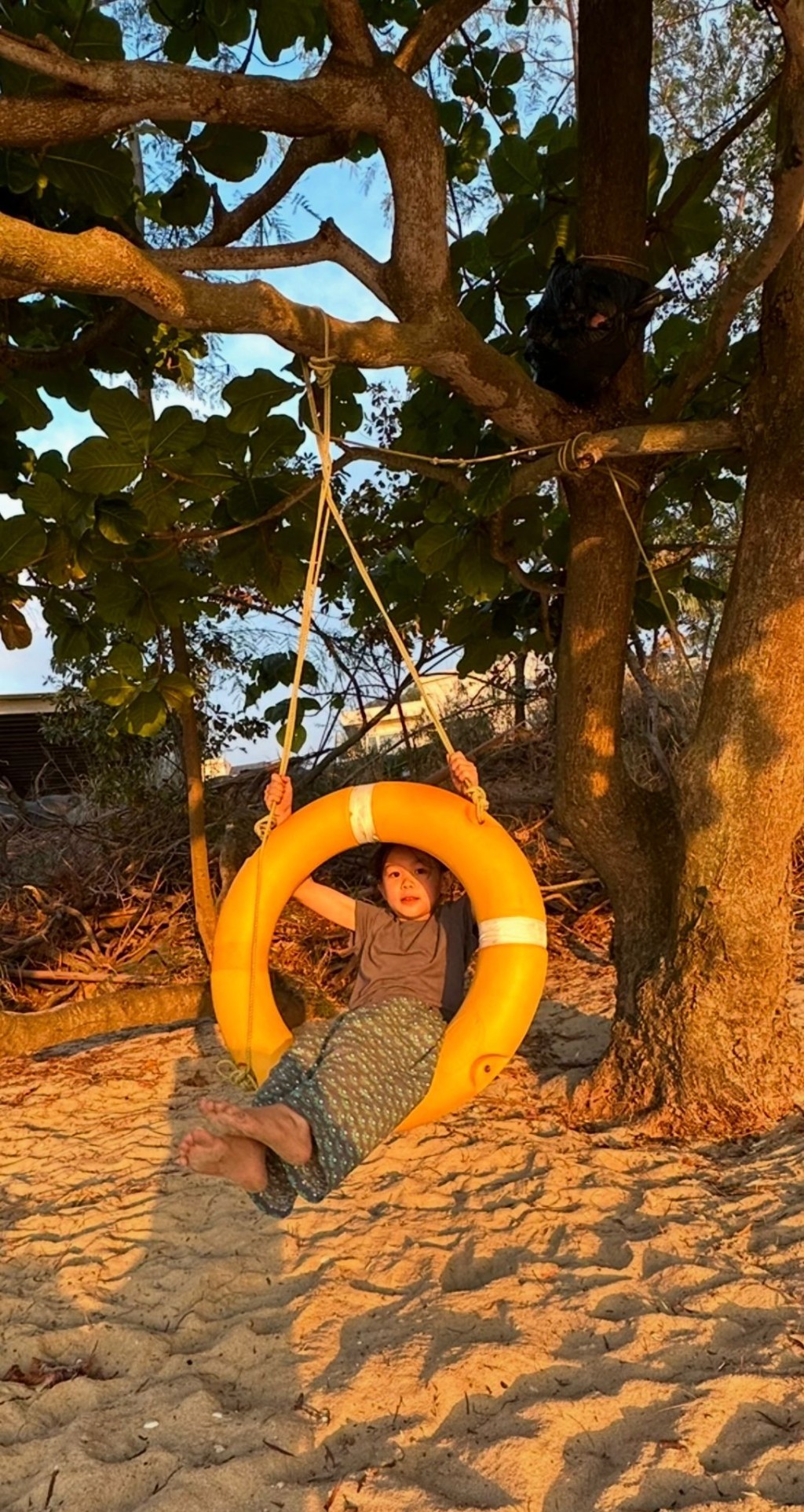 心然和朋友在大貴灣用粗木和長繩親手建造的鞦韆，如今成為遊客「打卡」熱點。（圖片來源：受訪者提供）