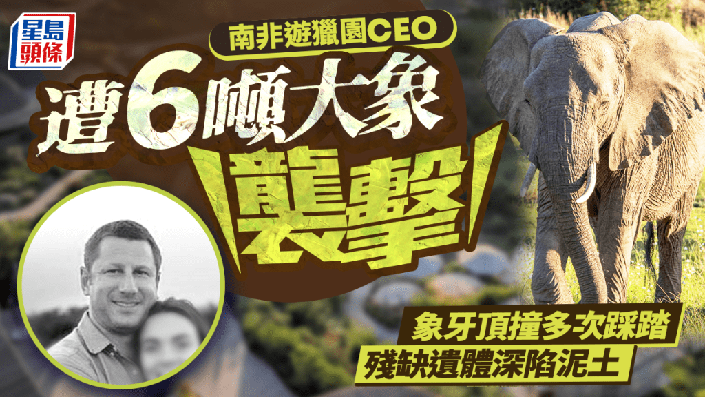 南非5星級遊獵園大象施襲 創辦人兼CEO慘遭踩踏亡