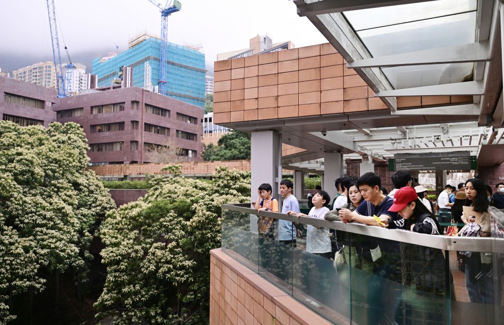 香港大學遊客管制措施推行首日，遊客進入港大校園前，需要出示預約二維碼。