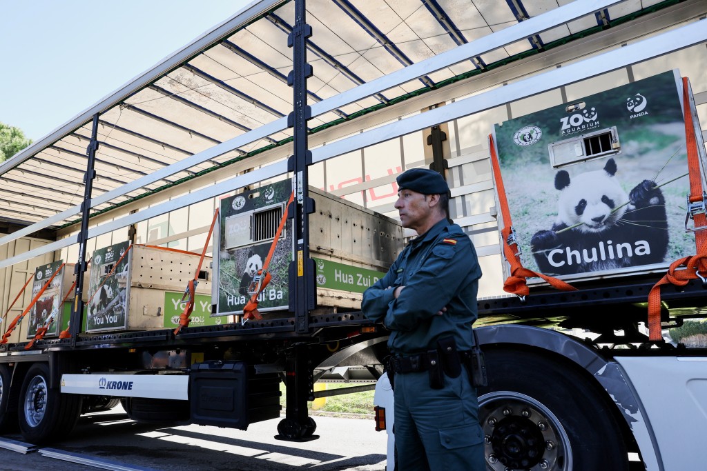 西班牙一名国民警卫队成员站在载有五只大熊猫的货车旁。 路透社
