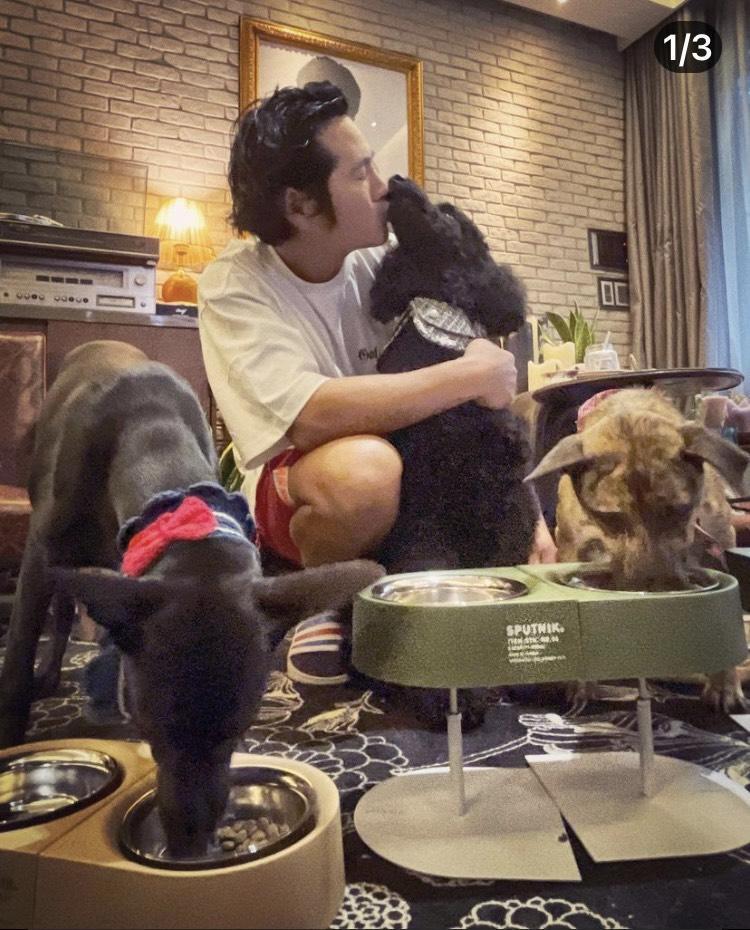 曹格是愛犬之人。