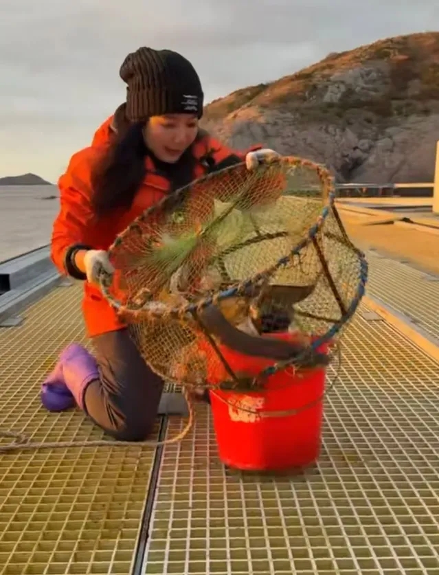栗子的無人島生活日常。 栗子的無人島生活日常。