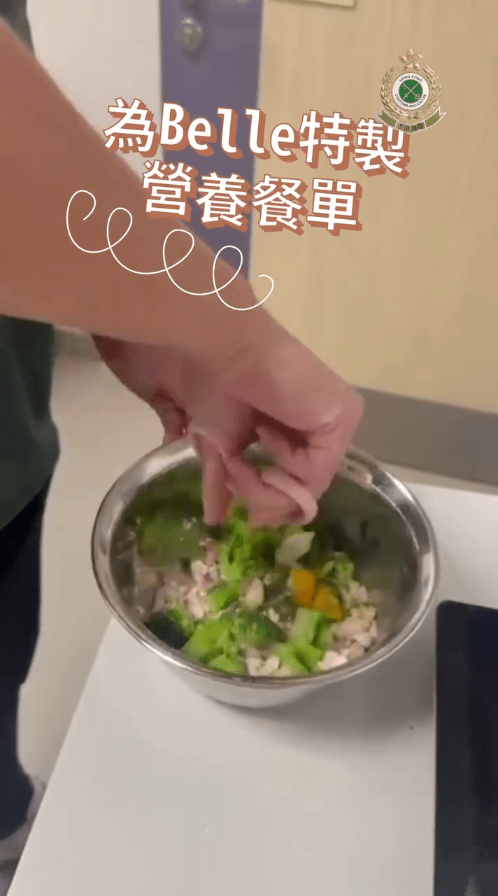 海關搜查犬課人員悉心照顧狗媽媽。