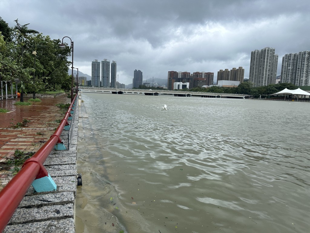 去年颱風蘇拉襲港期間沙田城門河水浸。資料圖片