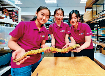城大獸醫學系學生Kiki(左起)、Esther及Xenia當義工學習照顧兩爬動物。