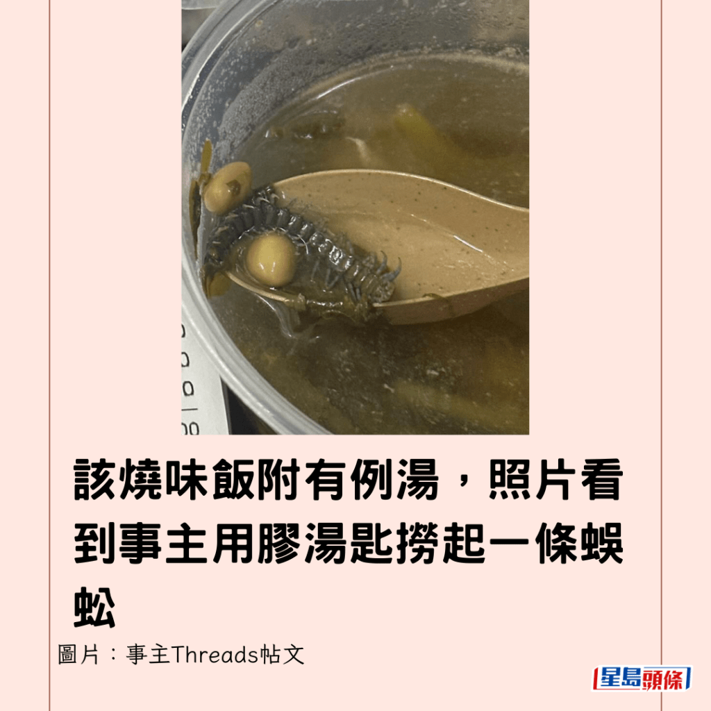 該燒味飯附有例湯，照片看到事主用膠湯匙撈起一條蜈蚣