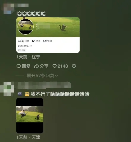 網民留言。 網民留言。