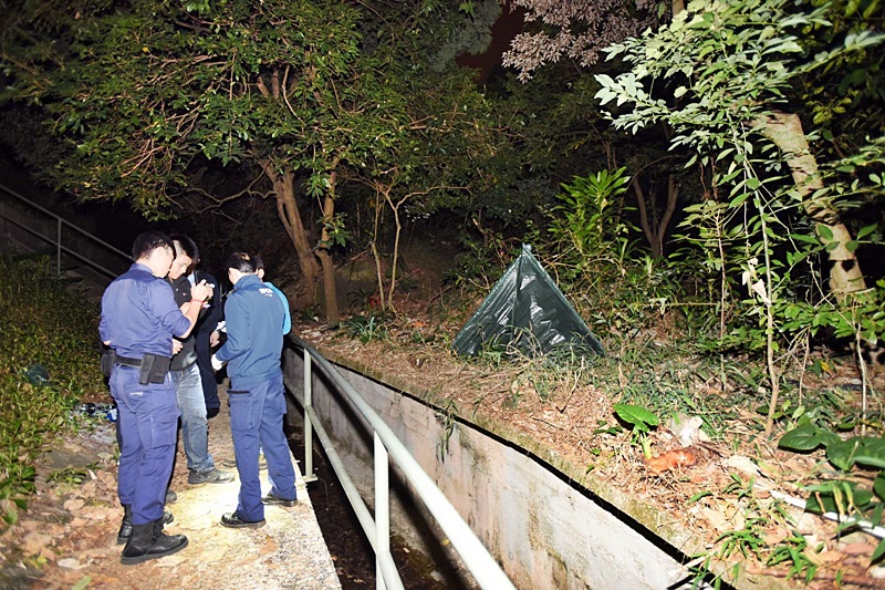 警方懷疑有人虐待殘殺野豬。