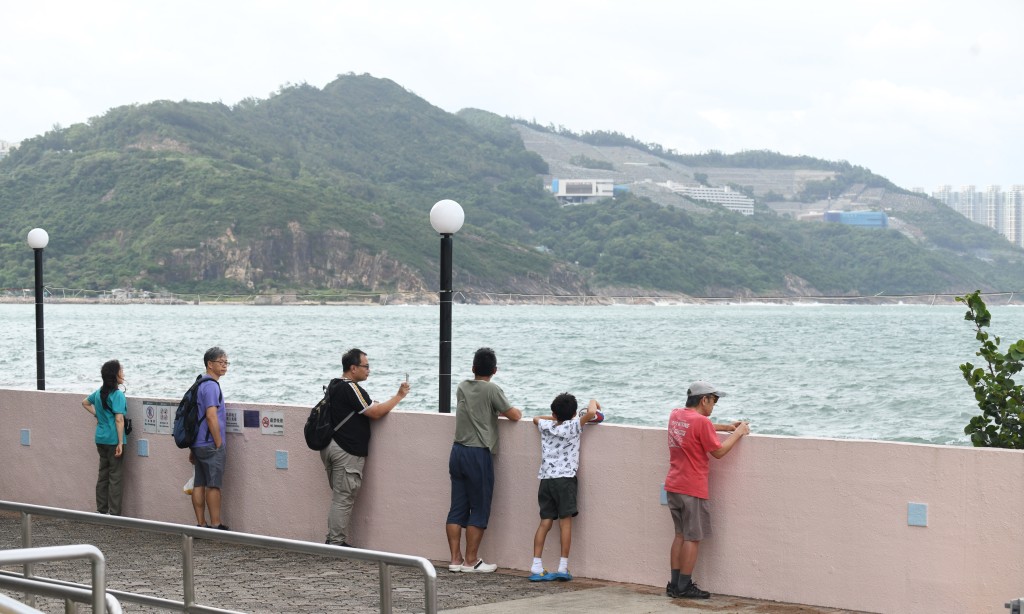 下午杏花邨風力增強，不時有浪拍打岸邊。何君健攝