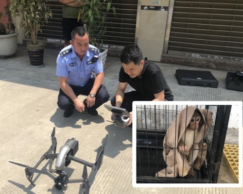 雲南警巧用無人機破獲非法圈養野生獼猴案。 網圖
