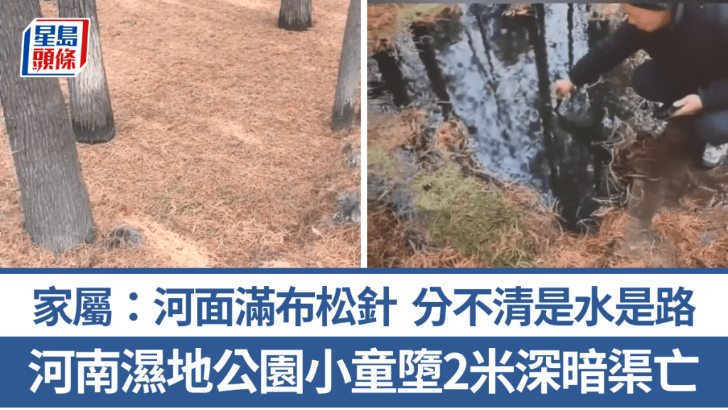 河南濕地公園小童溺斃，河溝鋪滿松針成隱藏陷阱。