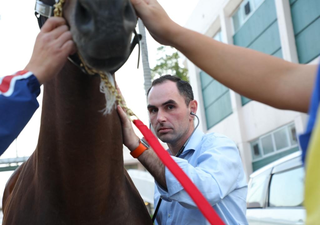 馬匹會接受診療獸醫的檢查，確保牠們經過長時間旅程後健康及身心狀況良好。馬會供圖