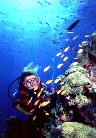 在昆士蘭州可欣賞大堡礁的美態。