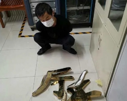 爆竊廣西公安廳的小偷被捉獲。網圖
