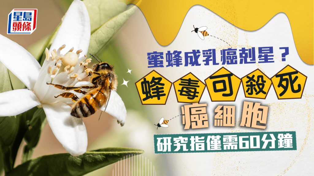 研究證蜂毒可在60分鐘內殺死癌細胞。