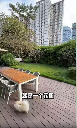 港漂靚媽月租6位數的香港星級豪宅地面層的客廳，穿過客廳直到花園。