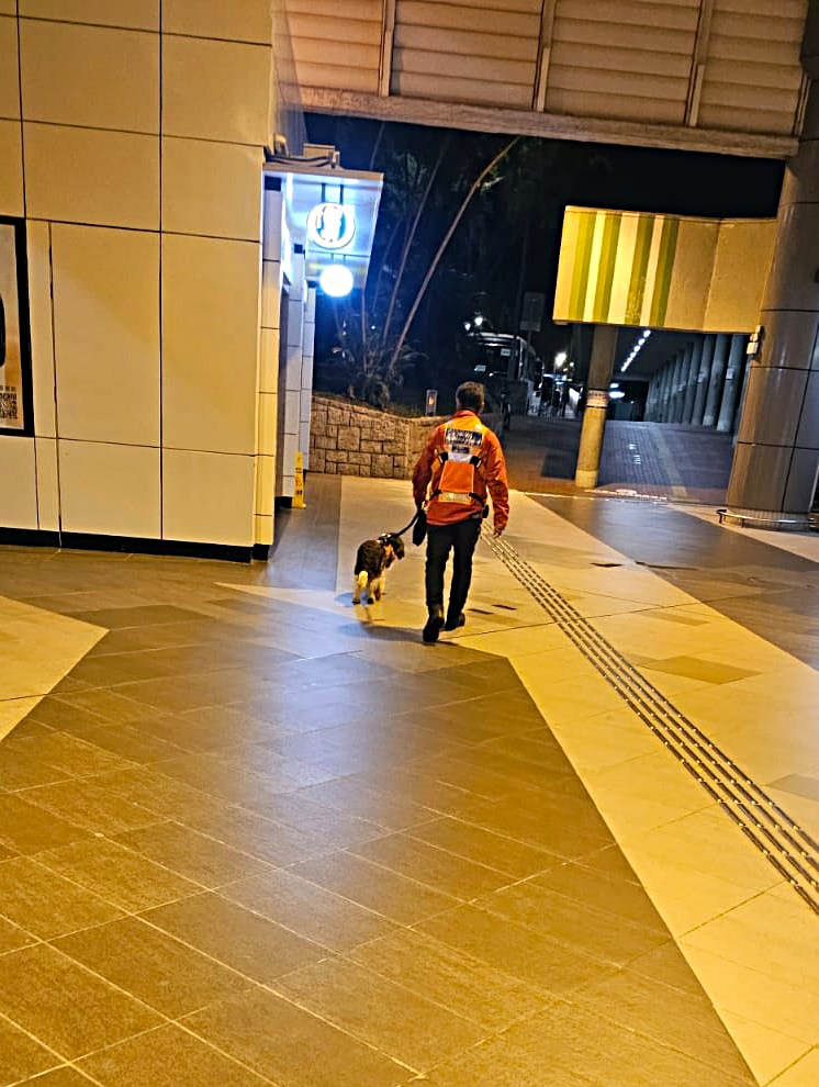 有義工團體亦派員協助搜索。fb:『香港守望者服務團』 有義工團體亦派員協助搜索。fb:『香港守望者服務團』