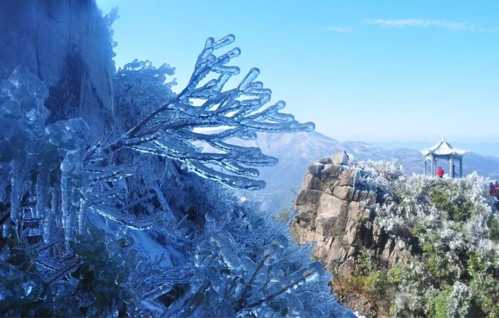广东出现的首场冰挂。网上图片
