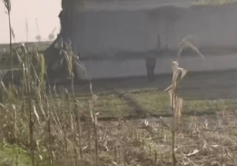 兩家之間的空地成為滅門案導火索。新京報 兩家之間的空地成為滅門案導火索。新京報