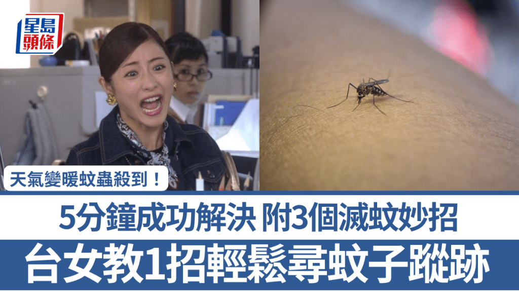 天气变暖蚊虫杀到！台女教1招轻松寻蚊子踪迹 5分钟成功解决 附3个灭蚊妙招