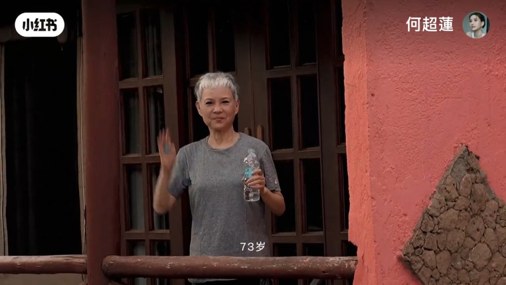 雖然外貌與陳婉珍似十足餅印，但兩人的氣質不相近，感覺截然不同。