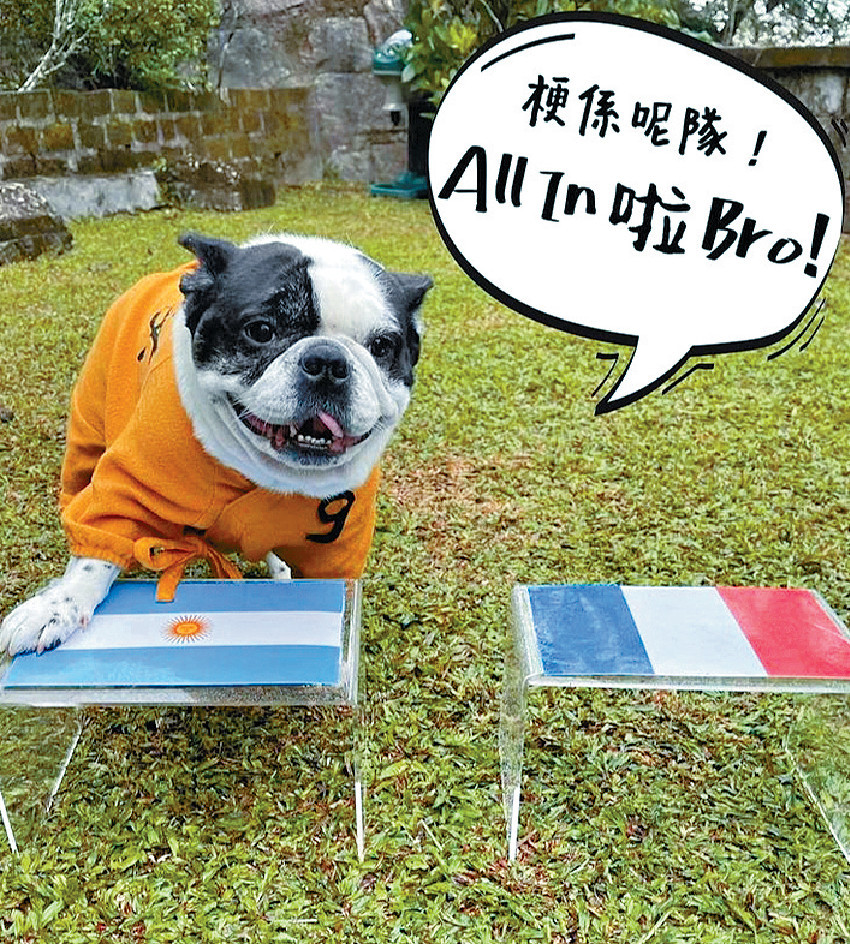 ■星爺愛犬Kio貼中阿根廷成為今屆世界盃冠軍。
