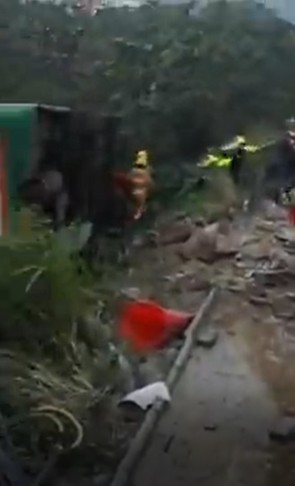 消防員主動走入草叢與泥濘中為乘客解救，並安全輔助他們重返行人路邊。(網片截圖)