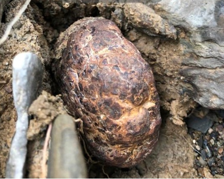 河道上下游共300米左右的範圍內都能見到「石蛋」。網圖