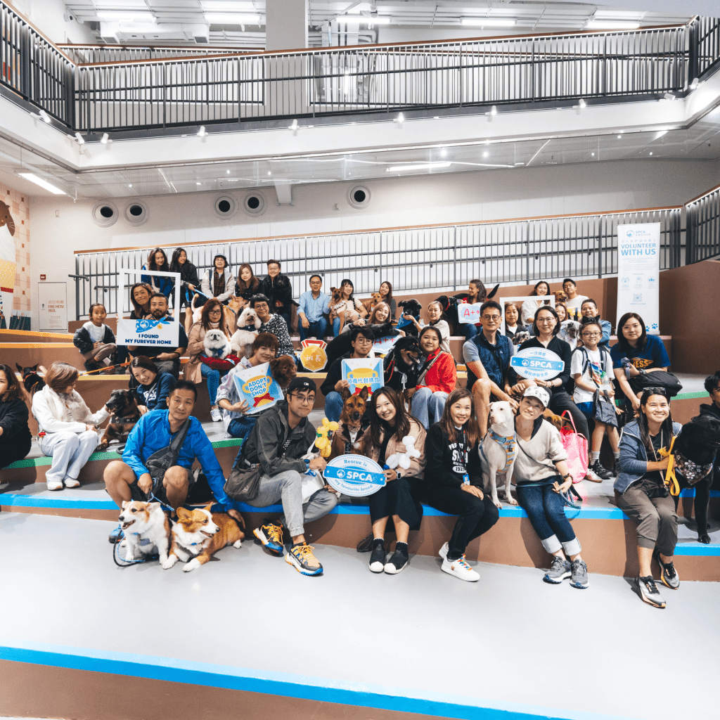 12. 歷史性毛孩感恩大合照 History-making “Pupsgiving” Group Photo