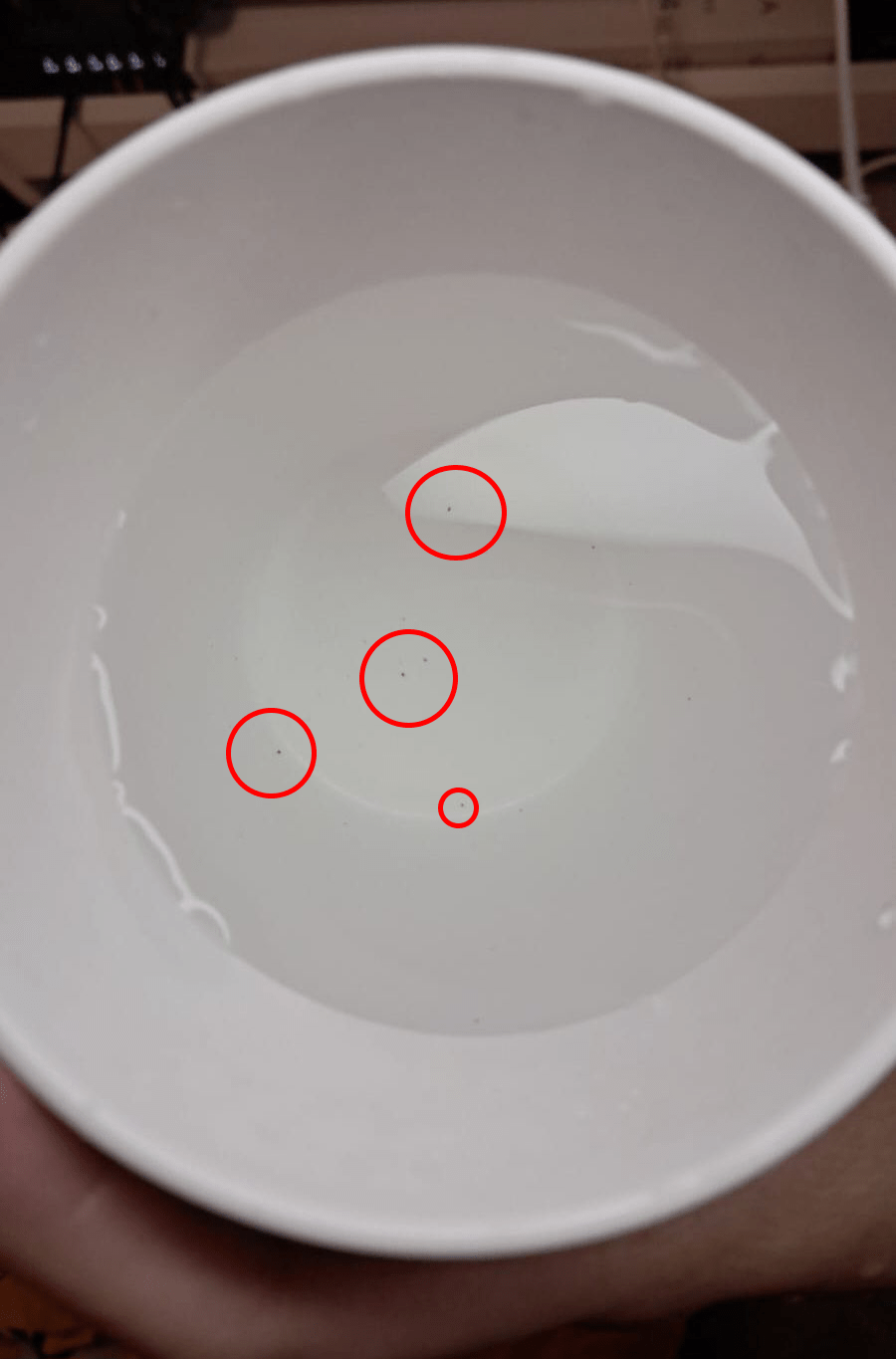 西灣河嘉亨灣有居民發現食水出現黑色沉澱物(紅圈示)。網上圖片 西灣河嘉亨灣有居民發現食水出現黑色沉澱物(紅圈示)。網上圖片